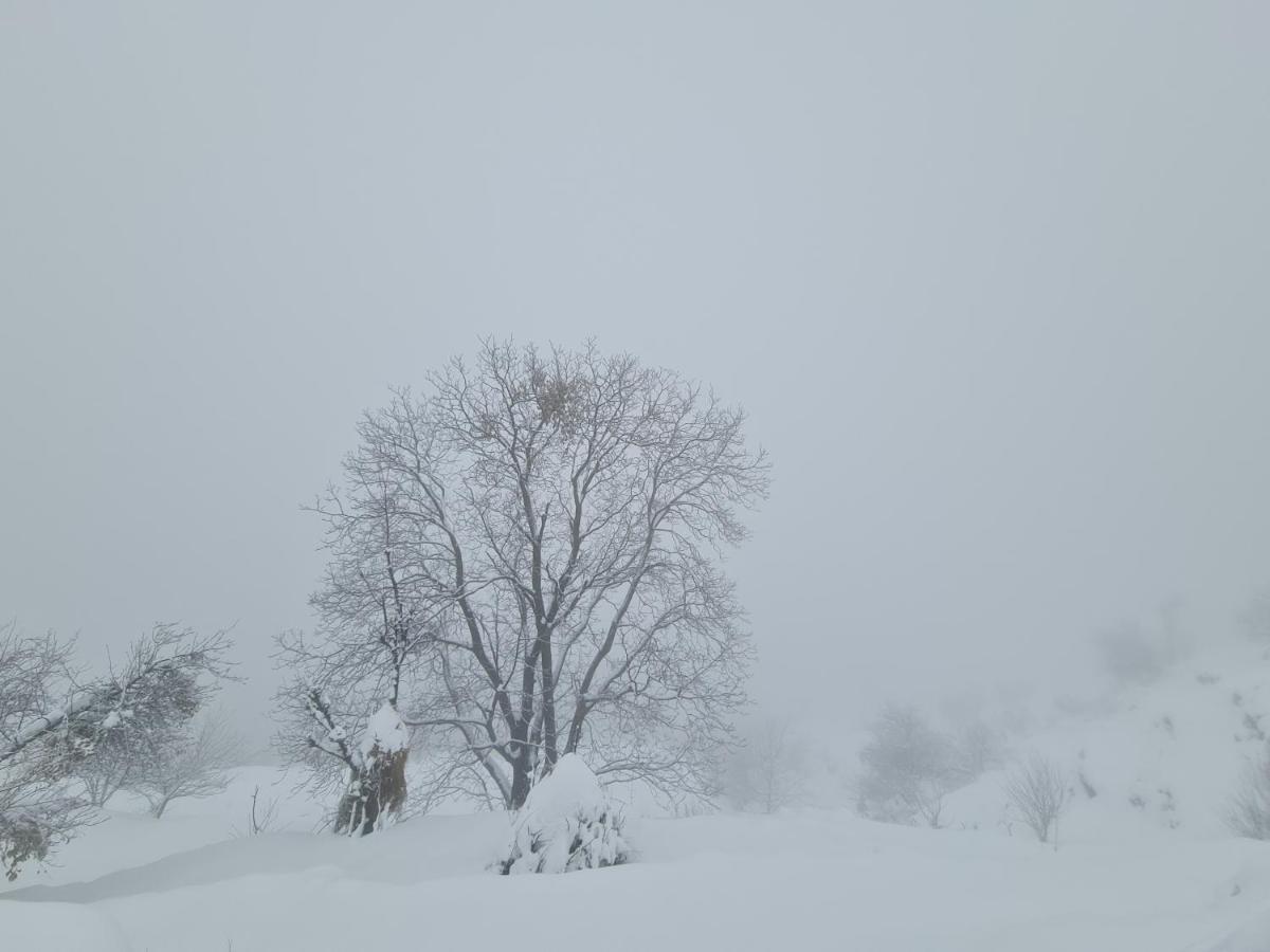 The Kanatal Arbour Εξωτερικό φωτογραφία